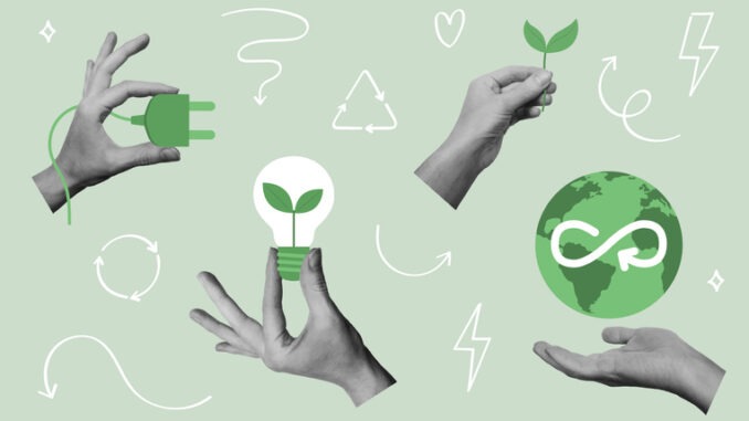 Hands holding Earth globe, plant, power saving lamp. Vector illustration
