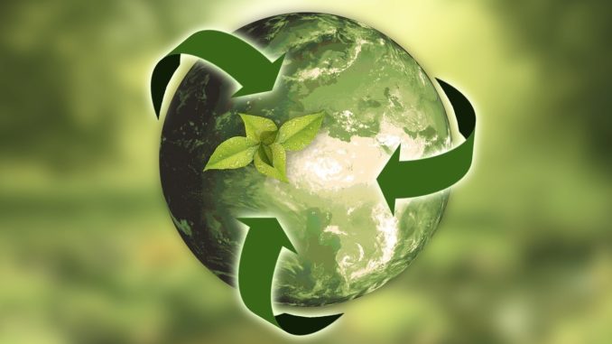 Sustainable packaging supply chain  