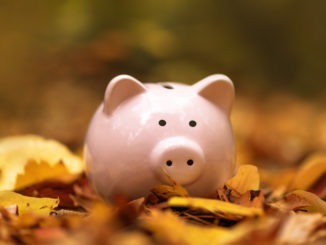 Pink piggy Bank in autumn leaves on the ground. Autumn background