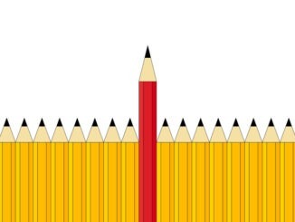 One red pencil and group of yellow pencils. Difference concept.